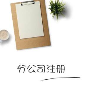 分公司注冊(cè) 分公司注冊(cè)